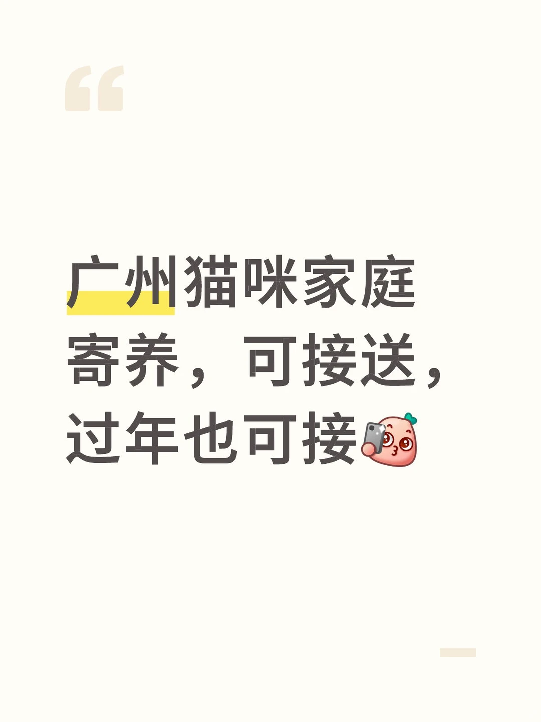 广州猫咪家庭寄养可接送