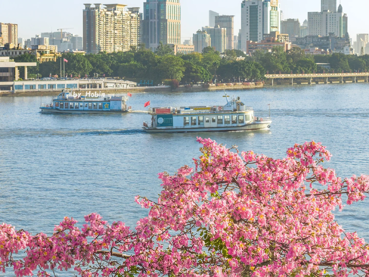 满城粉黛，温柔了整座城市