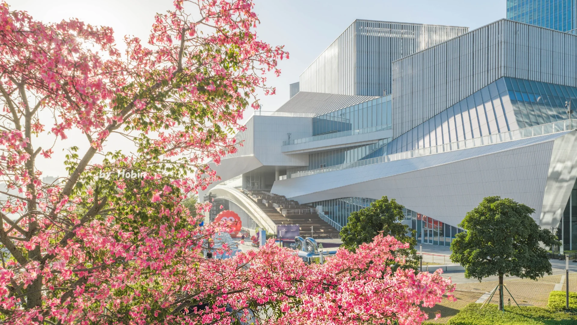 满城粉黛，温柔了整座城市