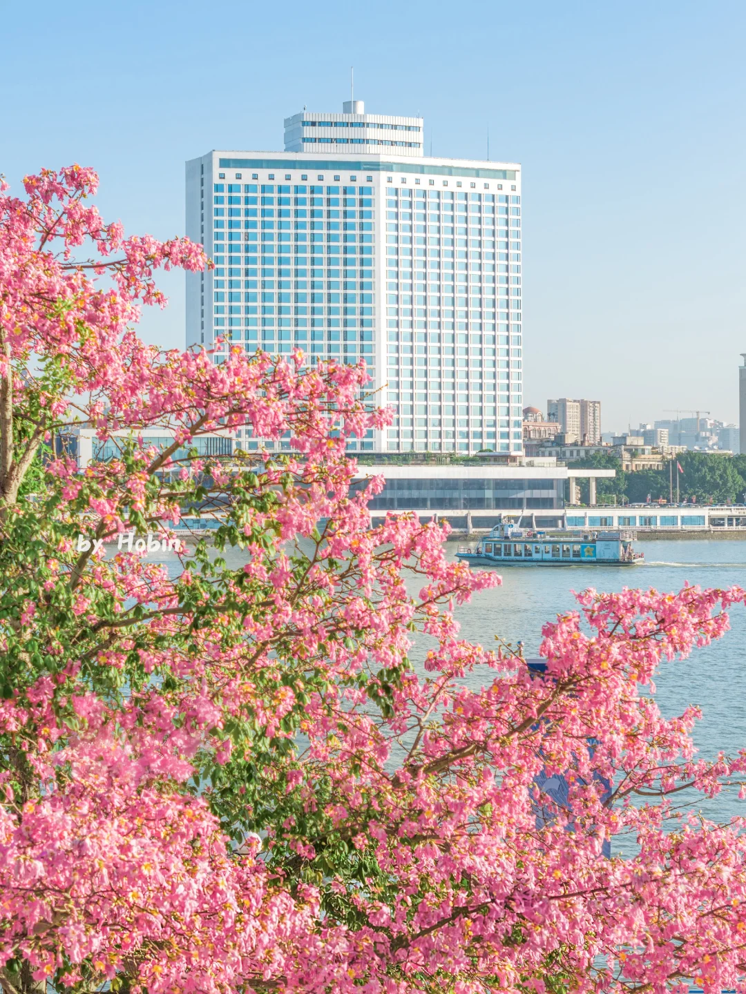 满城粉黛，温柔了整座城市