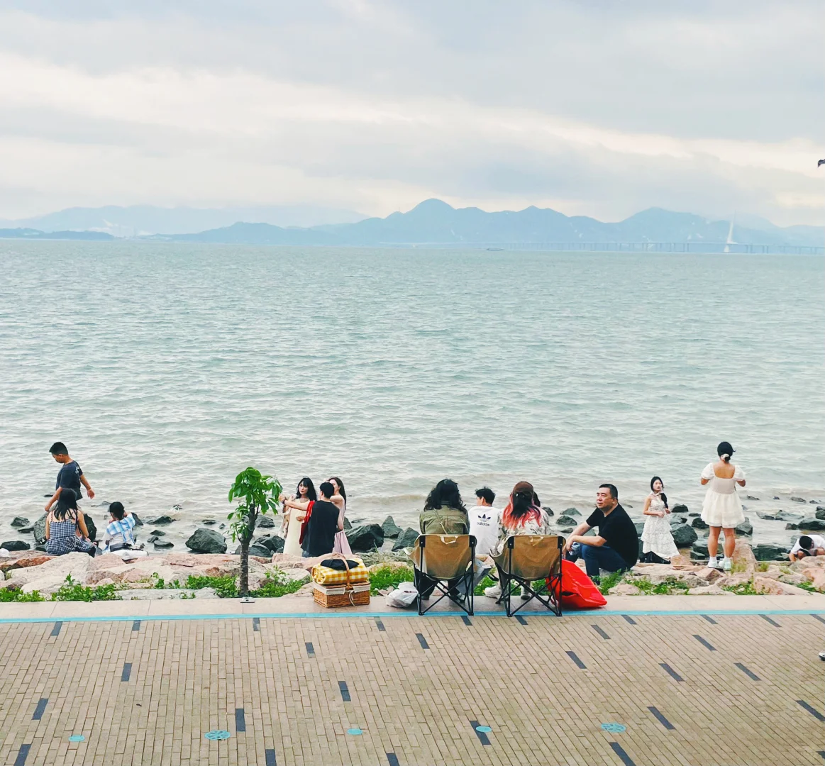 来深圳，不来这里准后悔❗️深圳湾游玩建议