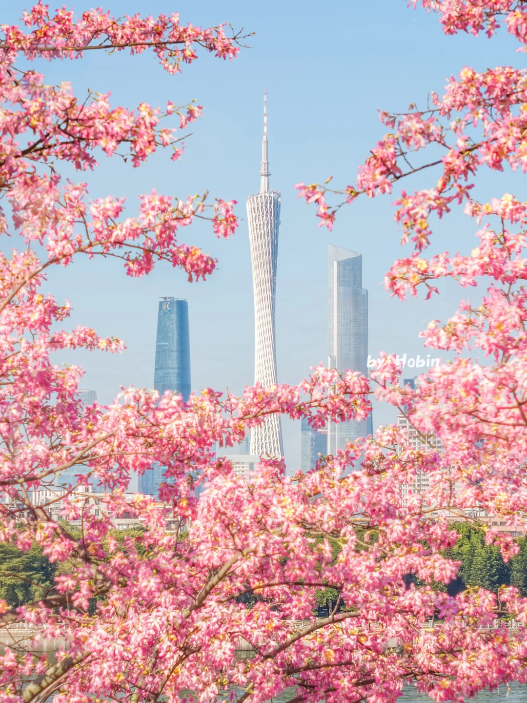 满城粉黛，温柔了整座城市