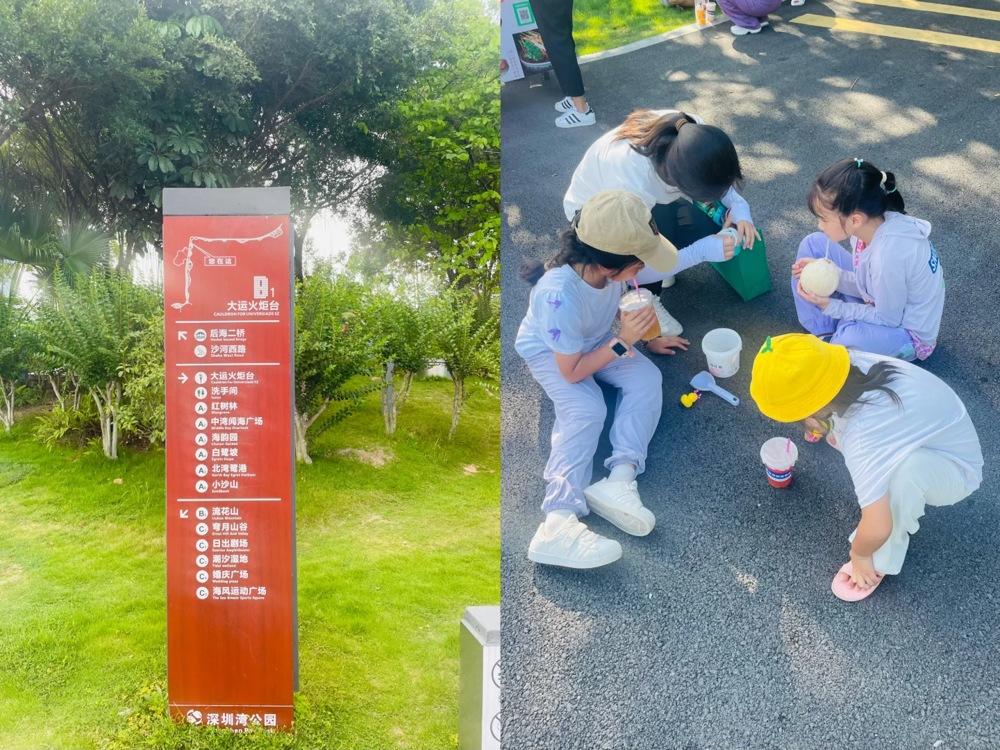 来深圳，不来这里准后悔❗️深圳湾游玩建议