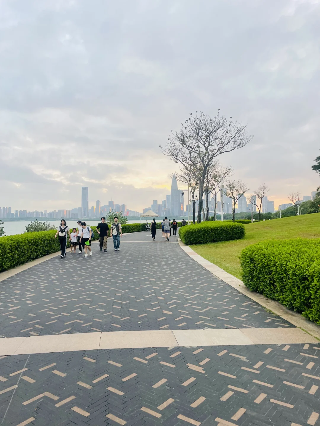 来深圳，不来这里准后悔❗️深圳湾游玩建议