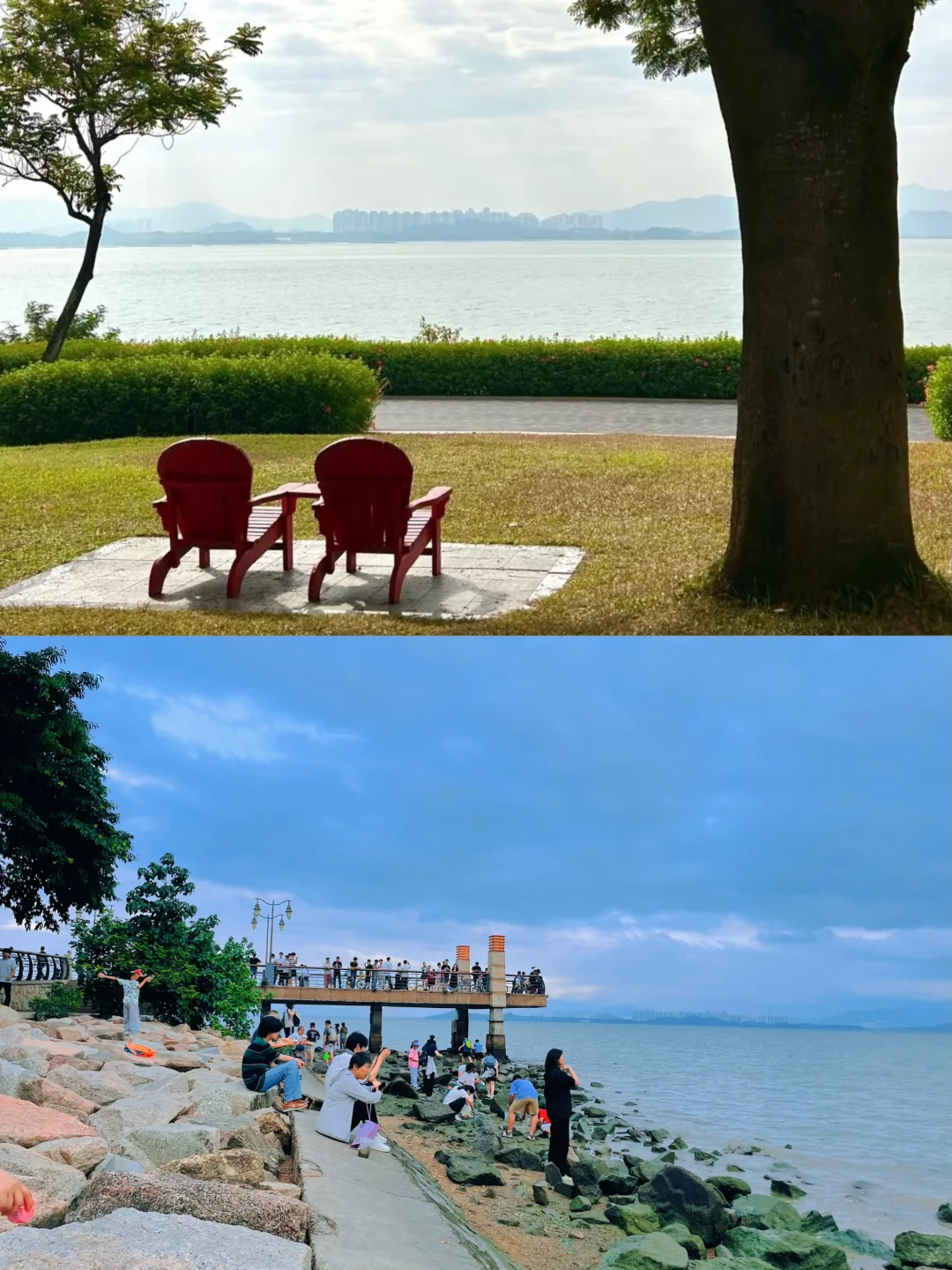 来深圳，不来这里准后悔❗️深圳湾游玩建议
