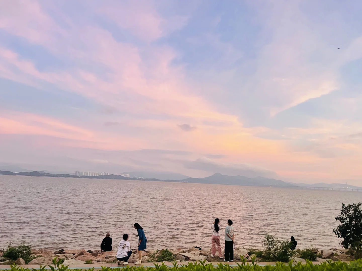 来深圳，不来这里准后悔❗️深圳湾游玩建议