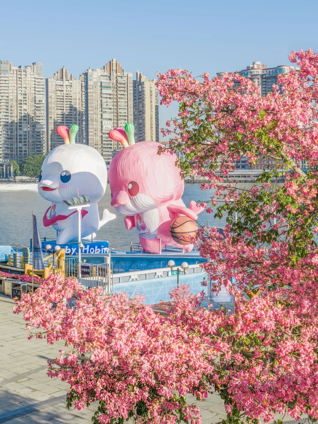 满城粉黛，温柔了整座城市