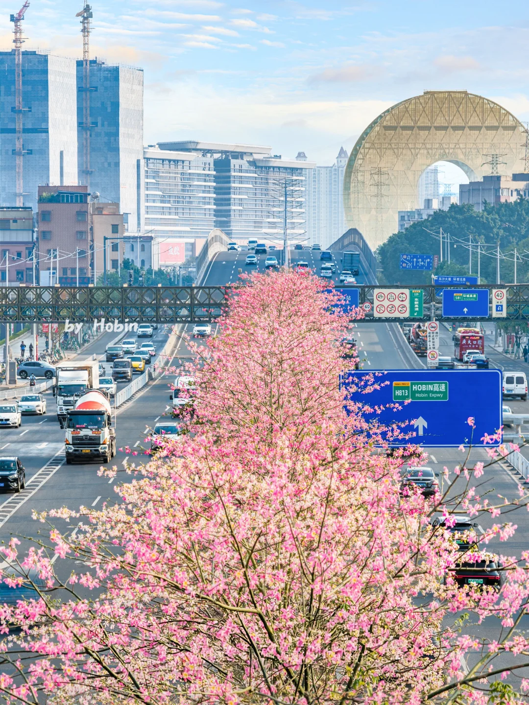 满城粉黛，温柔了整座城市