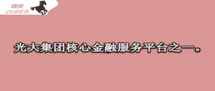 券商系 | 光大证券2026年秋季招聘与薪酬待遇户口情况