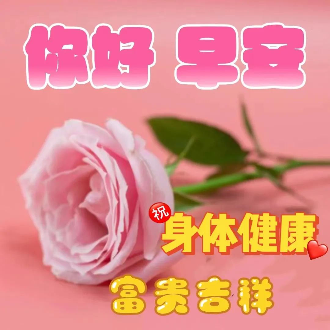 2023最新早上好表情包,一种祝福,情真意切,愿幸福平安