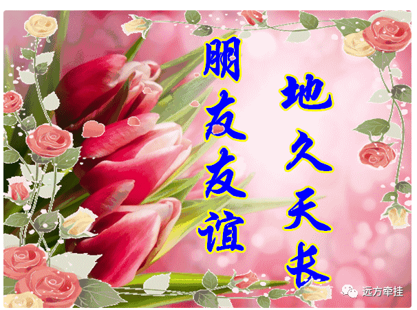 今日最新早上好表情包图片大全,时光不老,友谊不散,你开心我快乐
