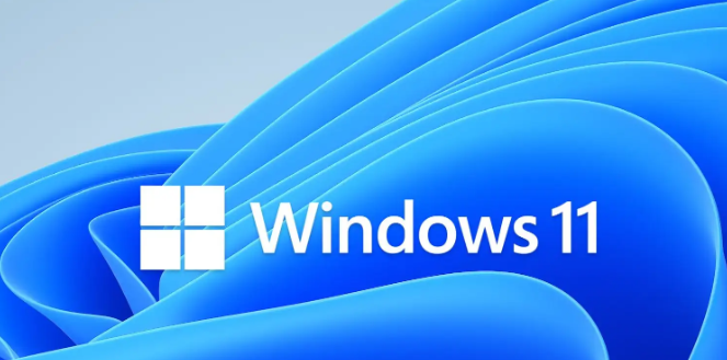 [精品软件] Windows11精简版Build22622.590