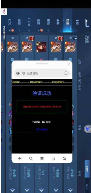 王者公益防封+特权