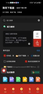 全能下载神器BH薄荷下载器最新免费版-夜雨聆风