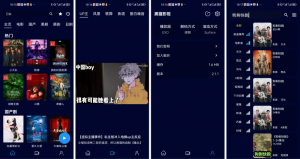 黑猫影视APP最新免费版V2.1.1资源聚合APP-夜雨聆风