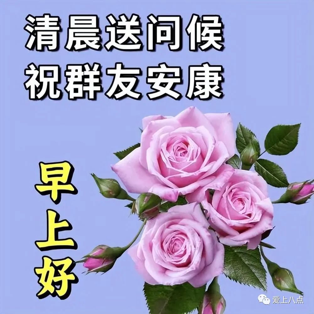 今日最新早上好表情包大全,​祝福亲人和朋友,平安幸福,快乐美好