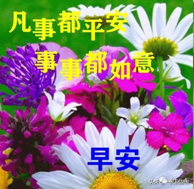 2024最新早上好表情包大全,愿你四季安康,平安幸福!