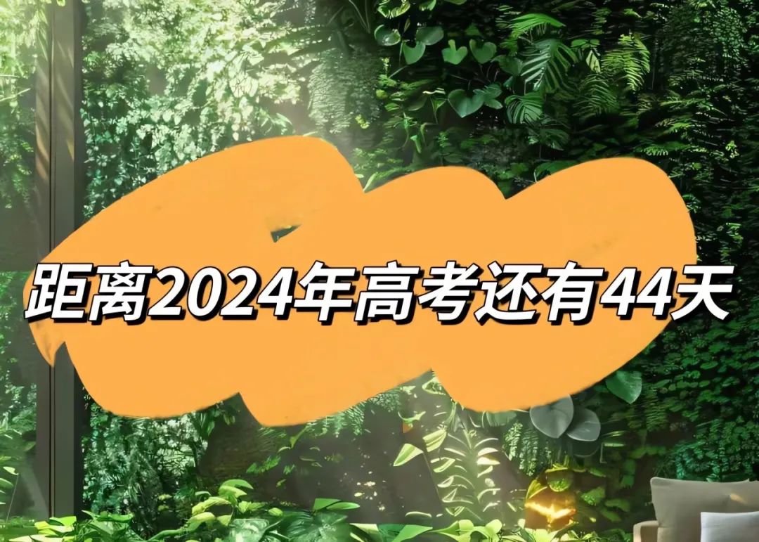 壁纸 | 夏昼
