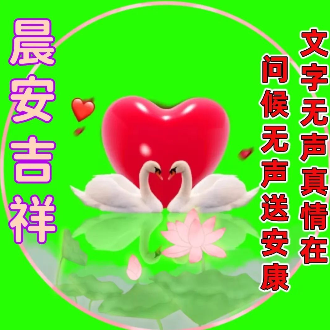 早上好表情包,祝您平安四季、健康快乐!天天愉快