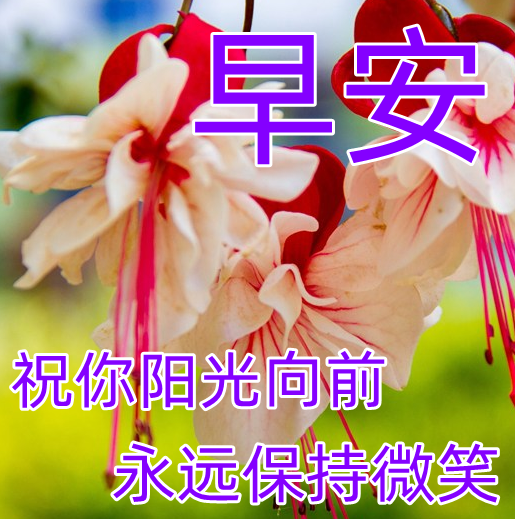 早上好表情包大全,事事顺利,身体健康,一帆风顺!