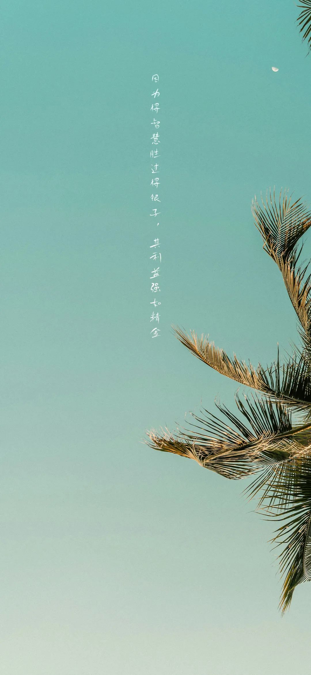壁纸 | 智慧胜银子