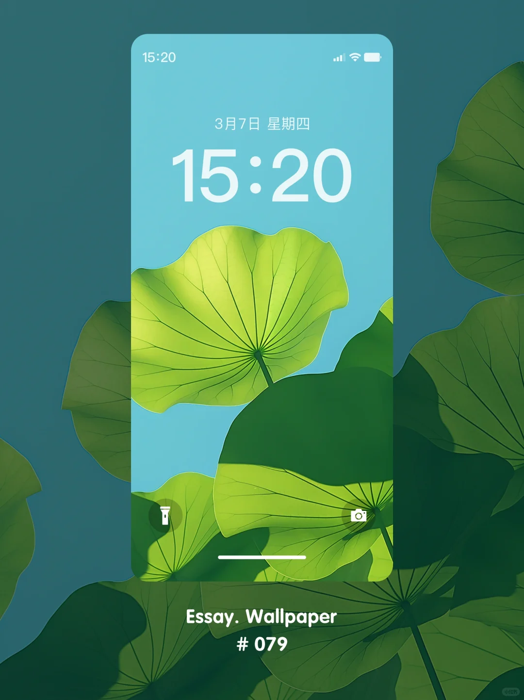 夏日荷塘｜电脑手机壁纸 绿色护眼背景79