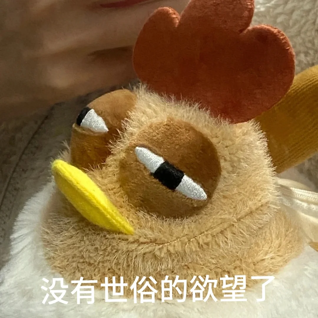 我现在的精神状态和鸡包没什么区别