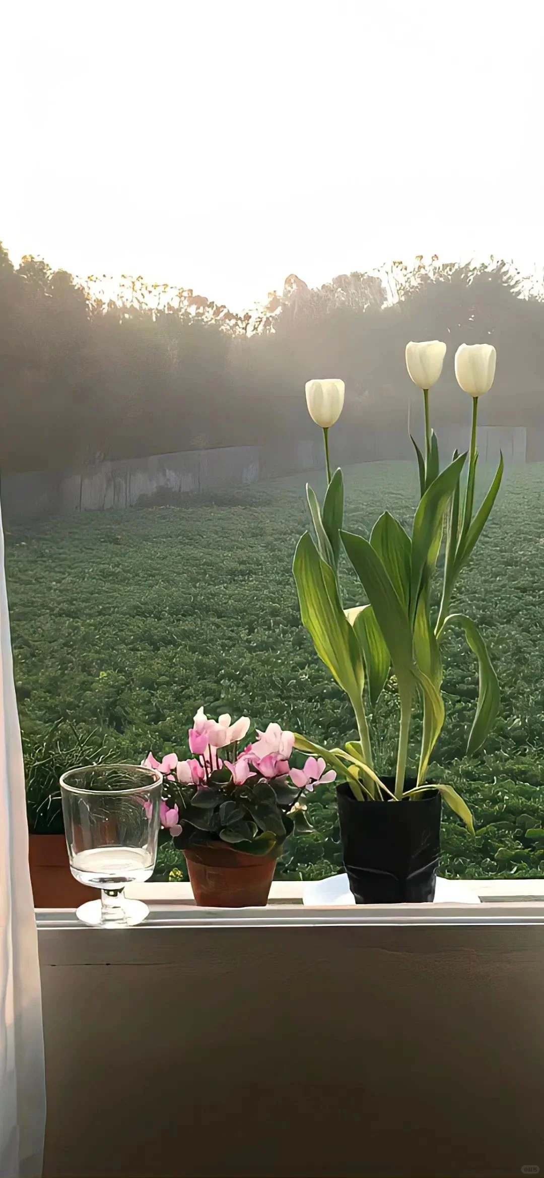 壁纸丨一期小众氛围感壁纸~