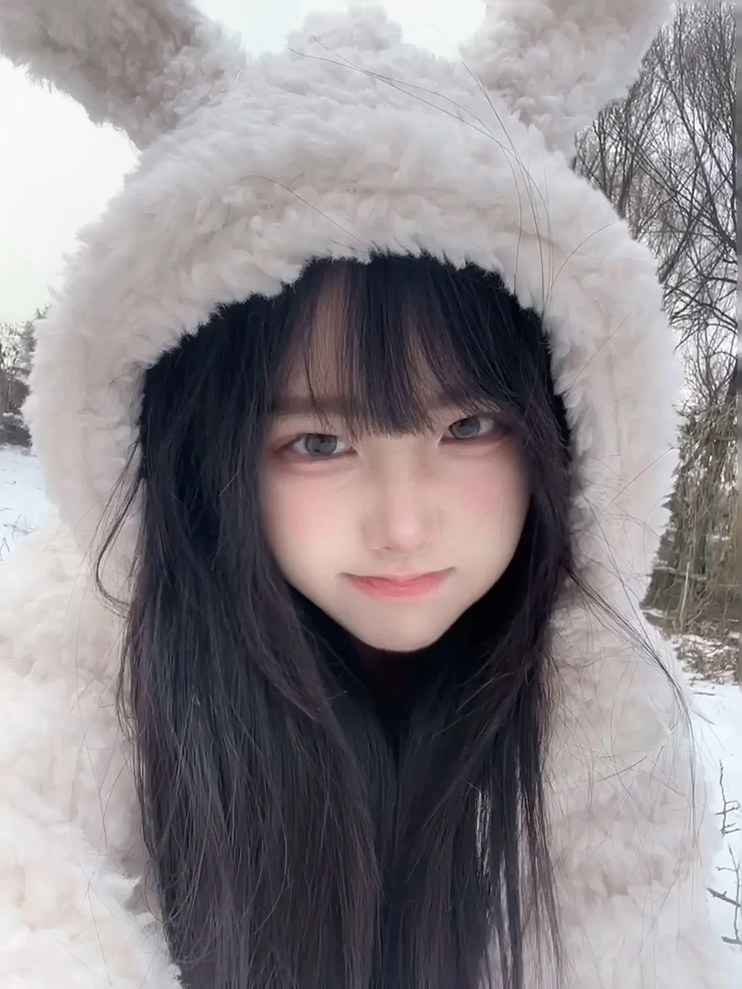 动图