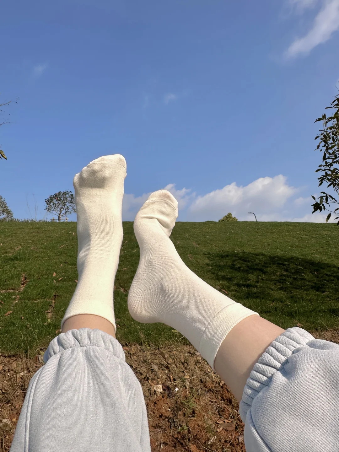 什么是长期主义🤓🧦