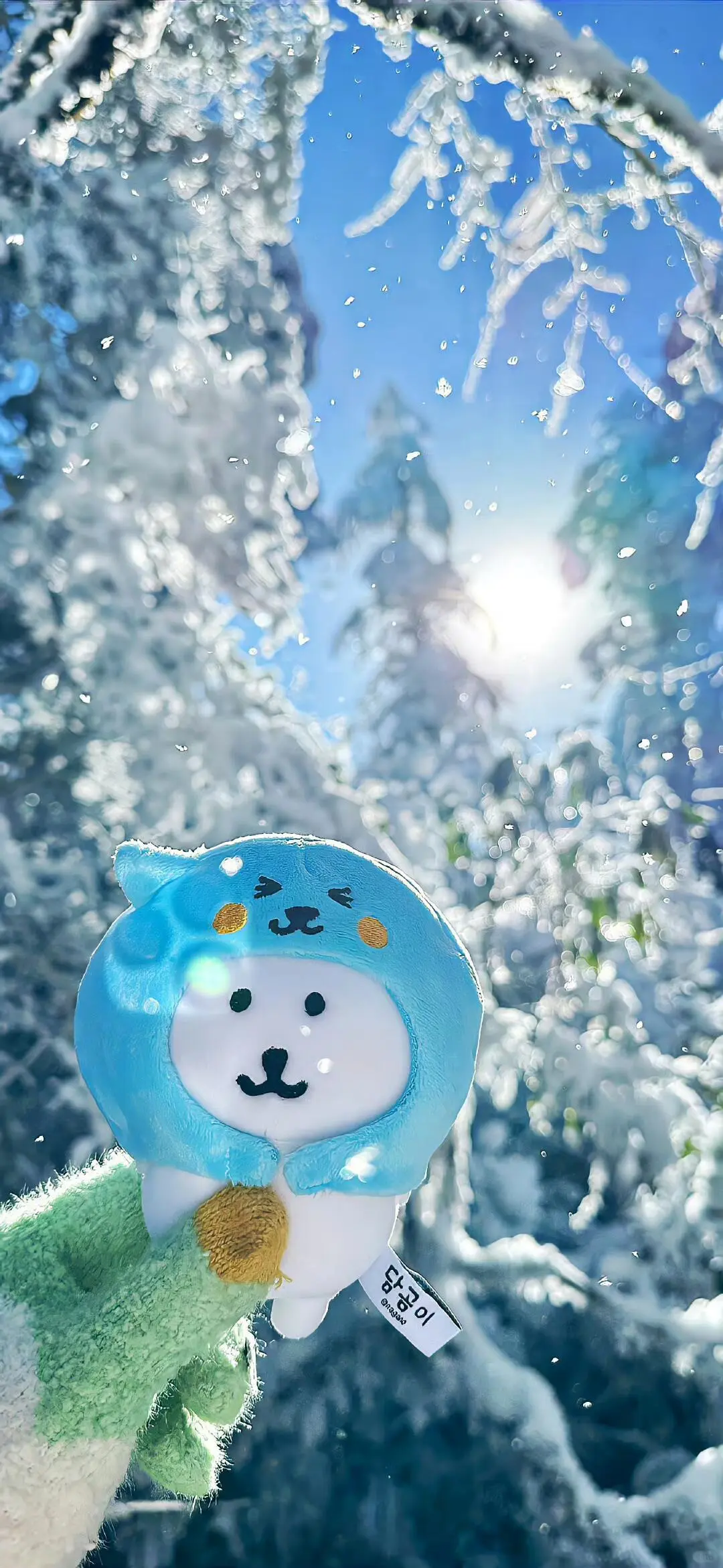 𝙎𝙃𝘼𝙍𝙀🧊 |ins高级感壁纸