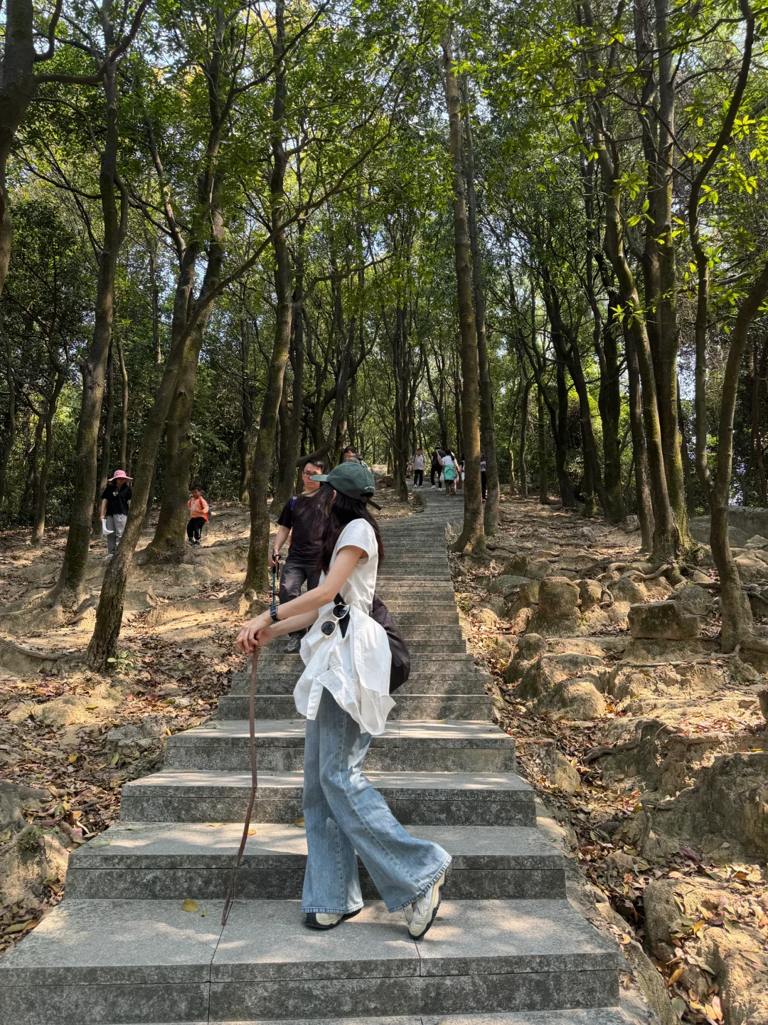 感受大自然🍃