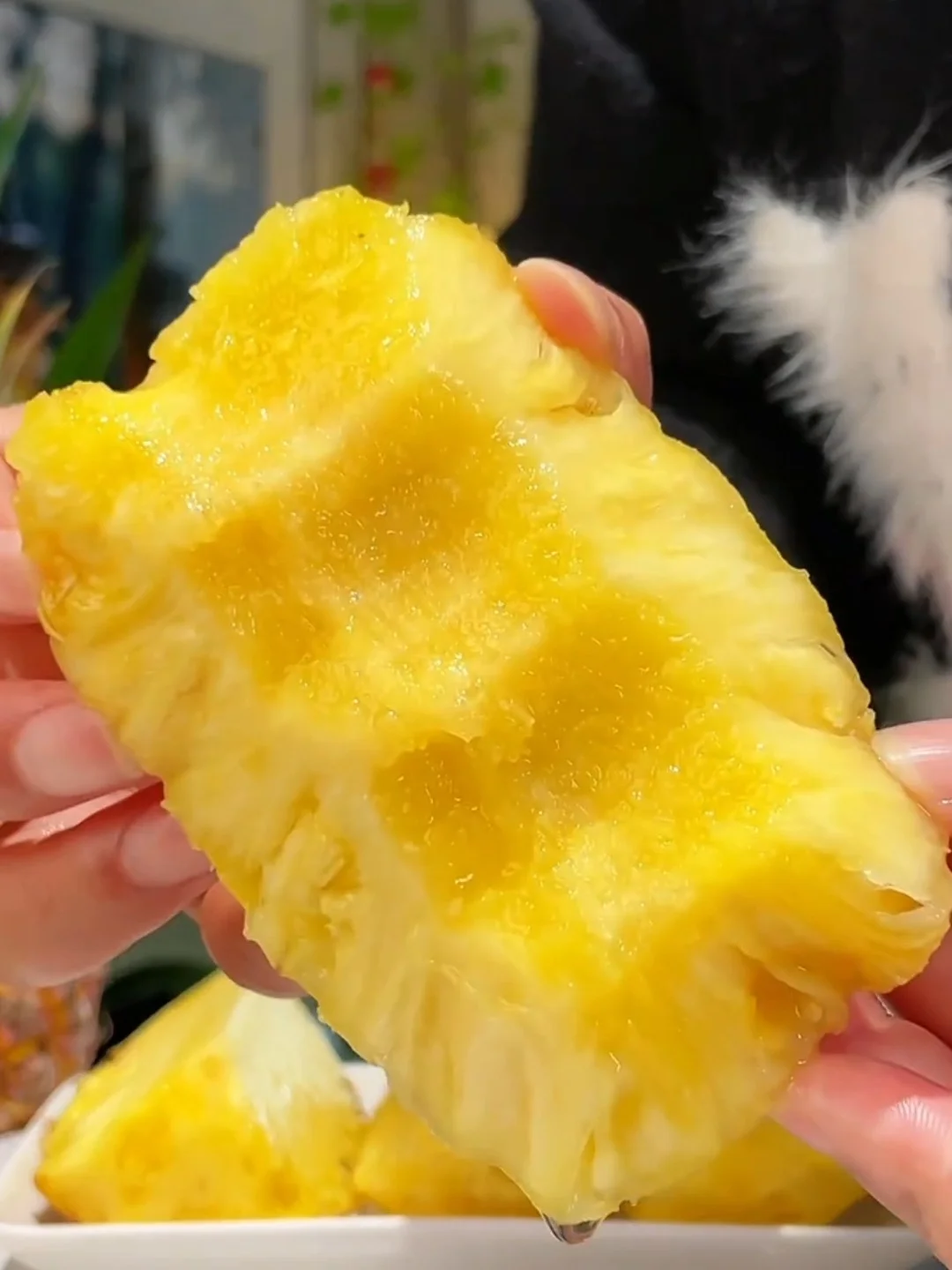 18.6💰五颗！凤梨控狂喜！纯甜无酸口感巅峰💥