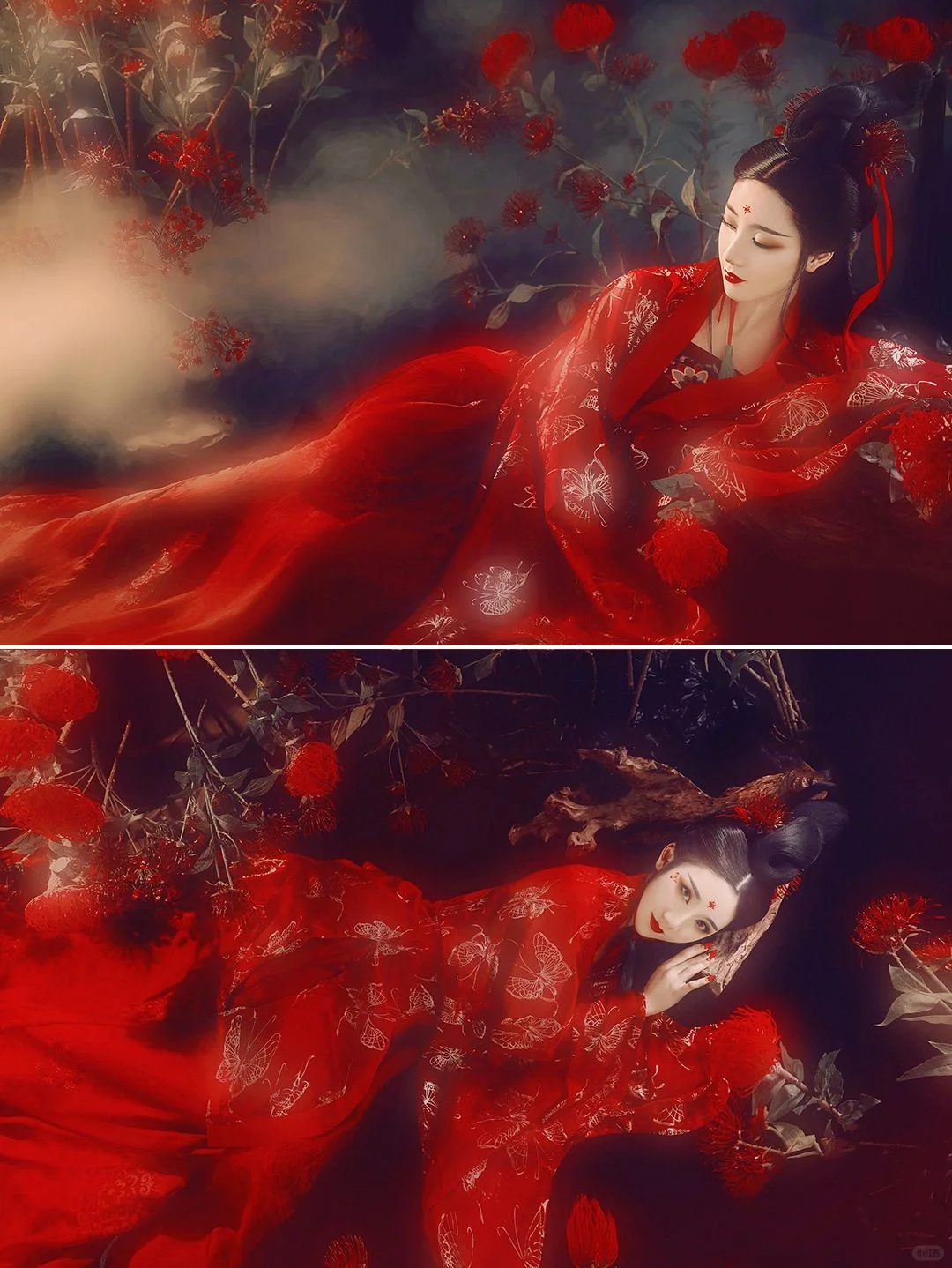 妩媚甜美的彼岸花写真你拍过吗？一眼沦陷！