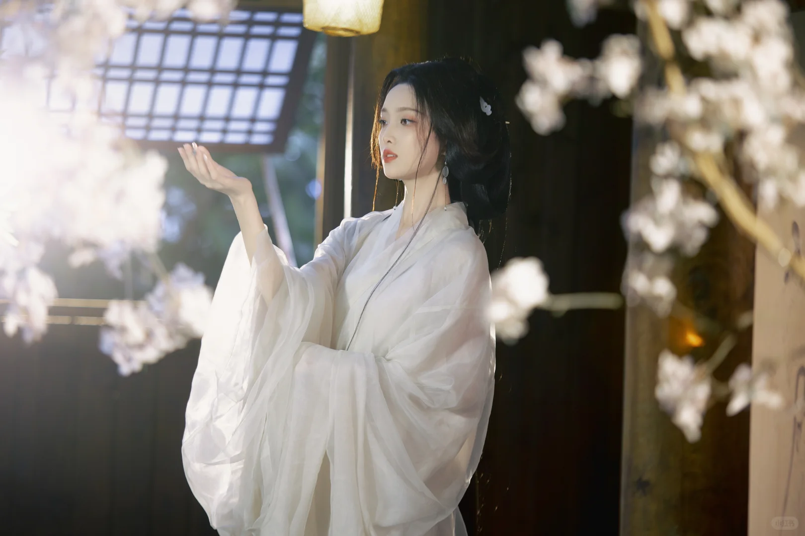 我是真的很喜欢拍回眸，控制不住就会去拍