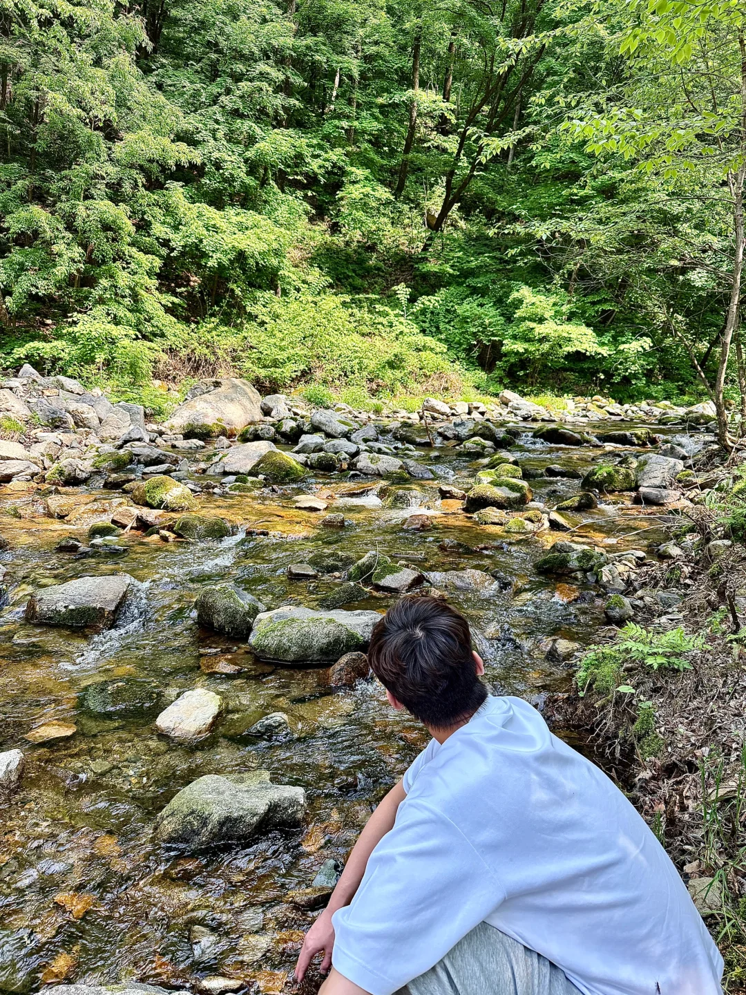 永远爱山野森林和自由空气🍃