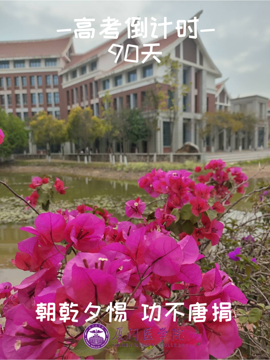 高考90天倒计时|破晓而生 踏浪前行 第9张 高考90天倒计时|破晓而生 踏浪前行 第9张