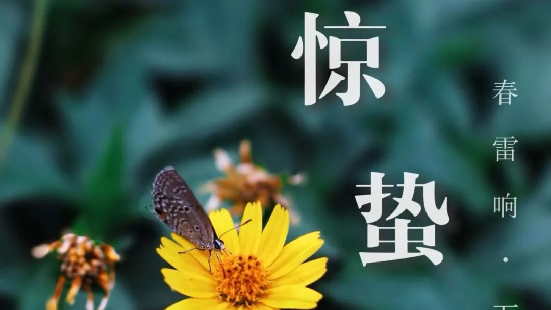 高考90天倒计时|破晓而生 踏浪前行 第26张 高考90天倒计时|破晓而生 踏浪前行 第26张