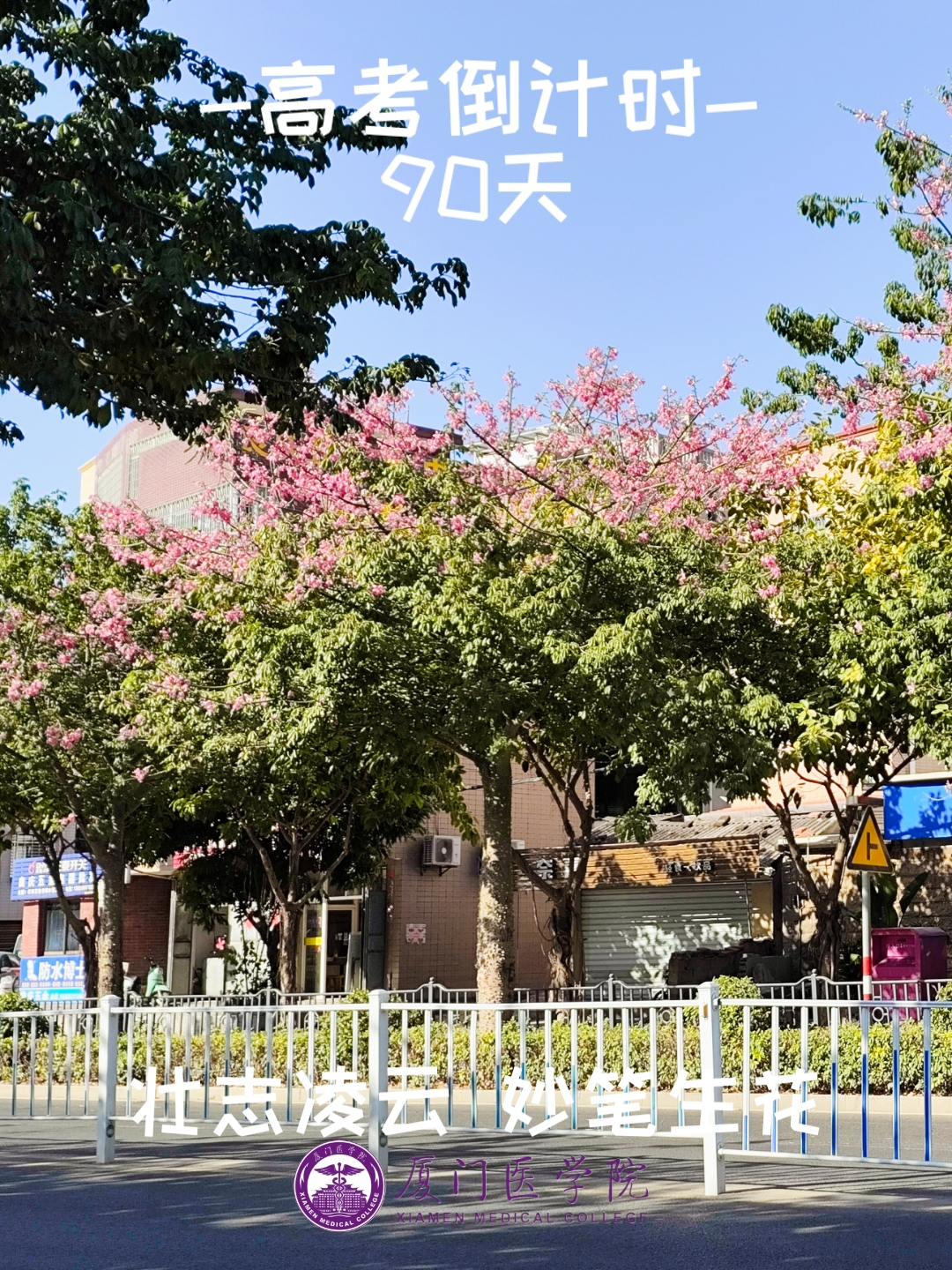 高考90天倒计时|破晓而生 踏浪前行 第19张 高考90天倒计时|破晓而生 踏浪前行 第19张