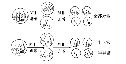 高考生物二轮复习之减数分裂异常情况 第4张