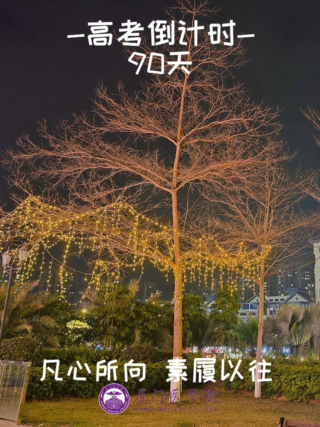 高考90天倒计时|破晓而生 踏浪前行 第17张 高考90天倒计时|破晓而生 踏浪前行 第17张