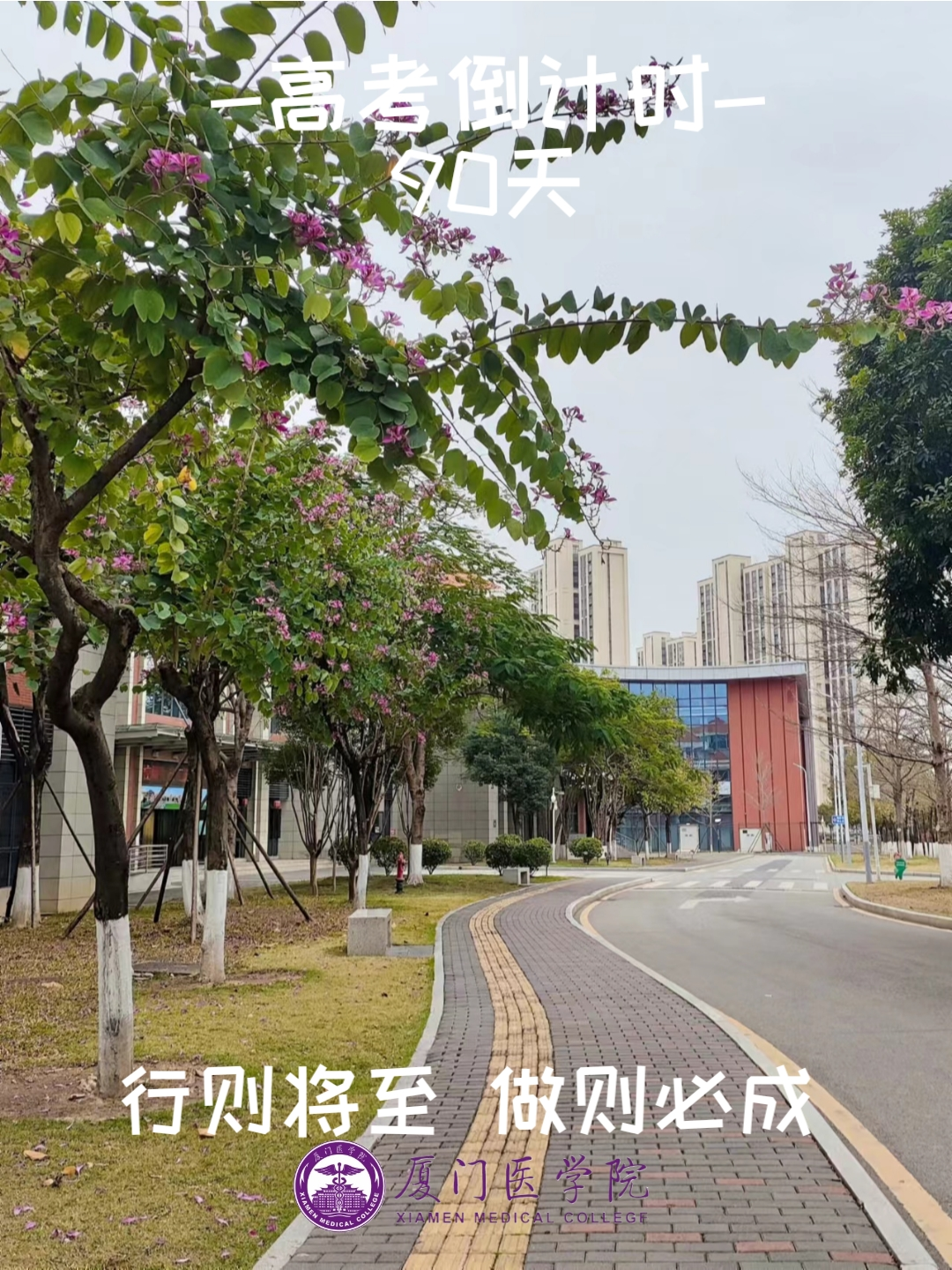 高考90天倒计时|破晓而生 踏浪前行 第7张 高考90天倒计时|破晓而生 踏浪前行 第7张