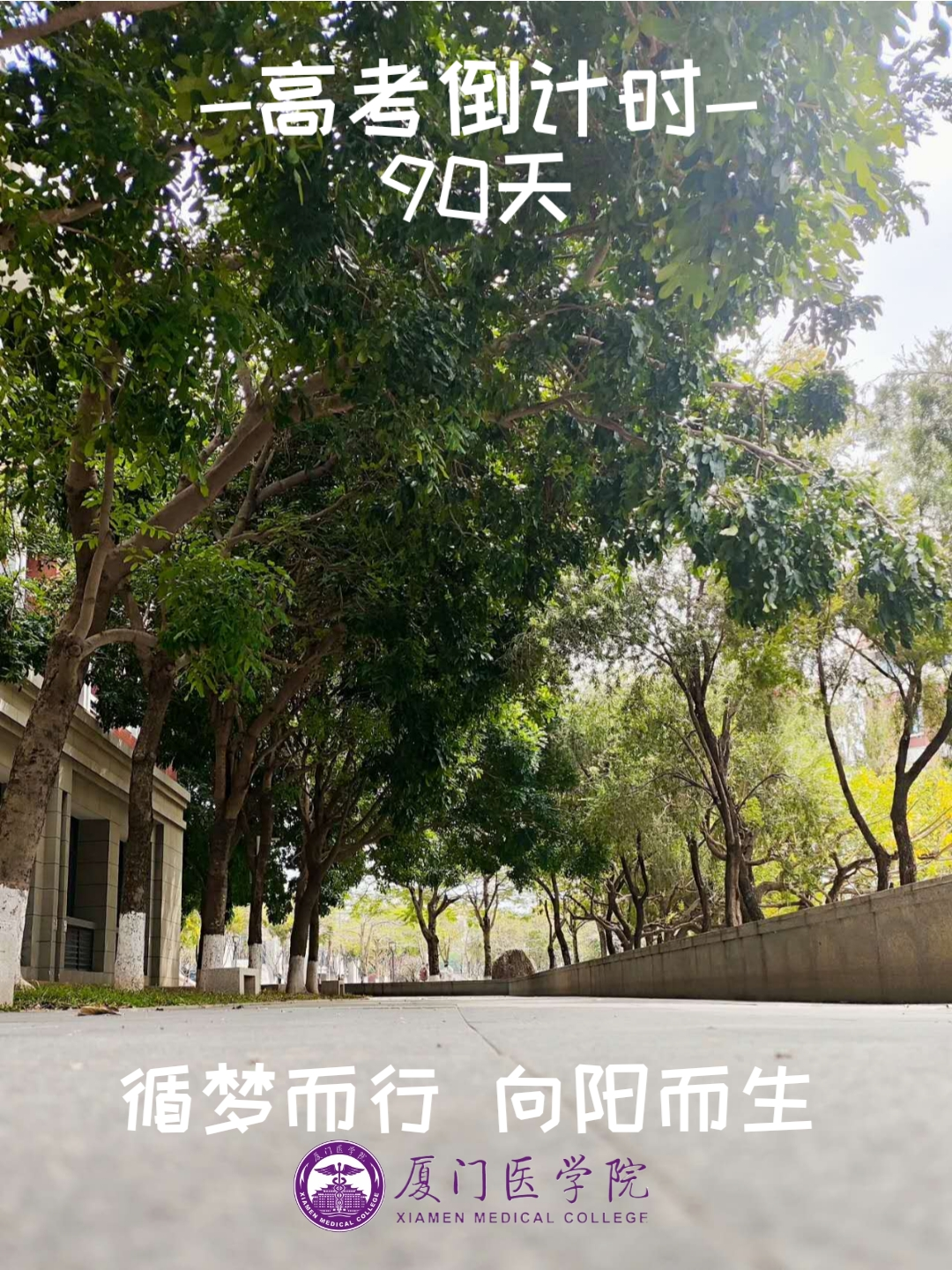 高考90天倒计时|破晓而生 踏浪前行 第14张 高考90天倒计时|破晓而生 踏浪前行 第14张
