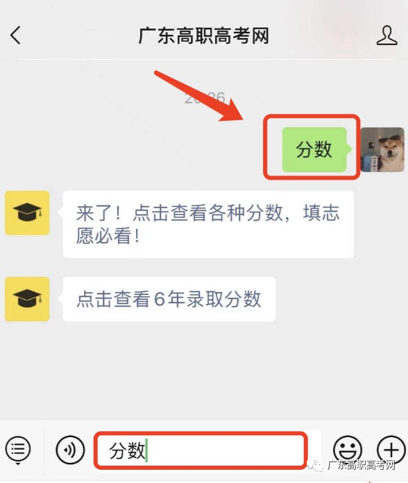改革前,3+证书与普通高考在6月同期进行! 第21张 改革前,3+证书与普通高考在6月同期进行! 第21张