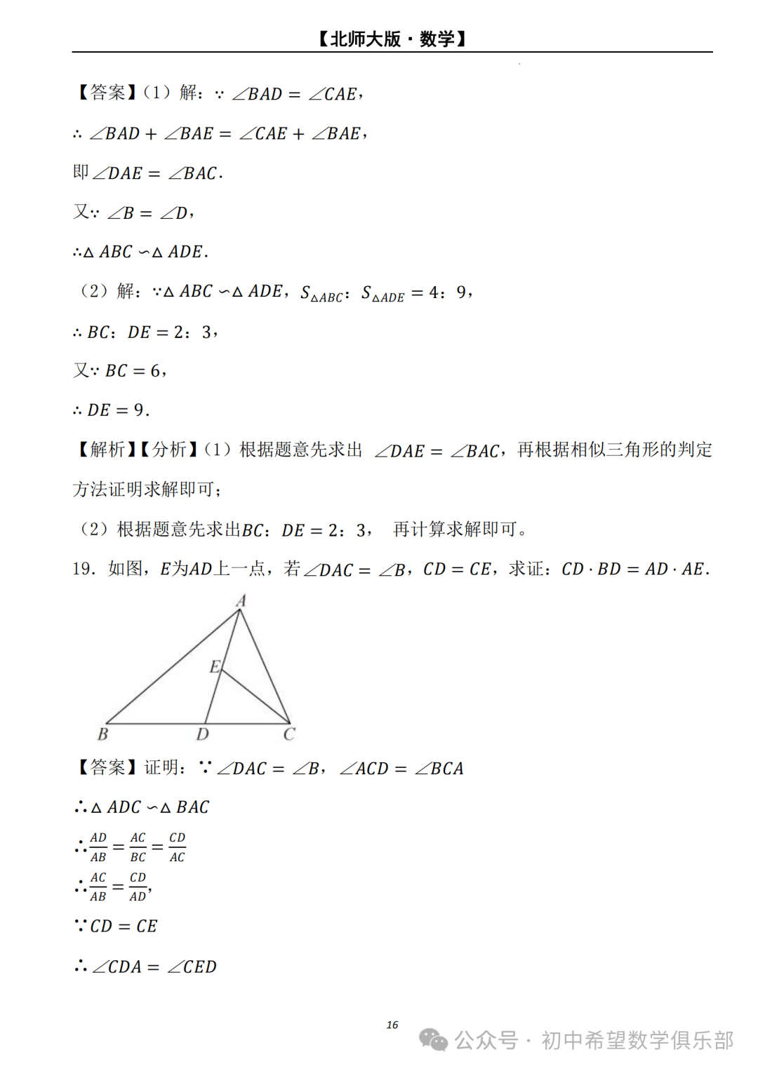 【2024年中考数学.北师大版】二轮复习---相似三角形的判定与性质 (解析) 第17张
