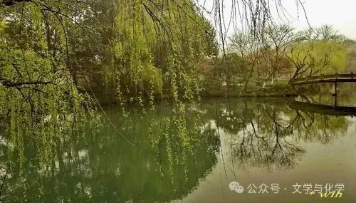 中考增分-气体制备和除杂题-气体相关的综合1 第10张
