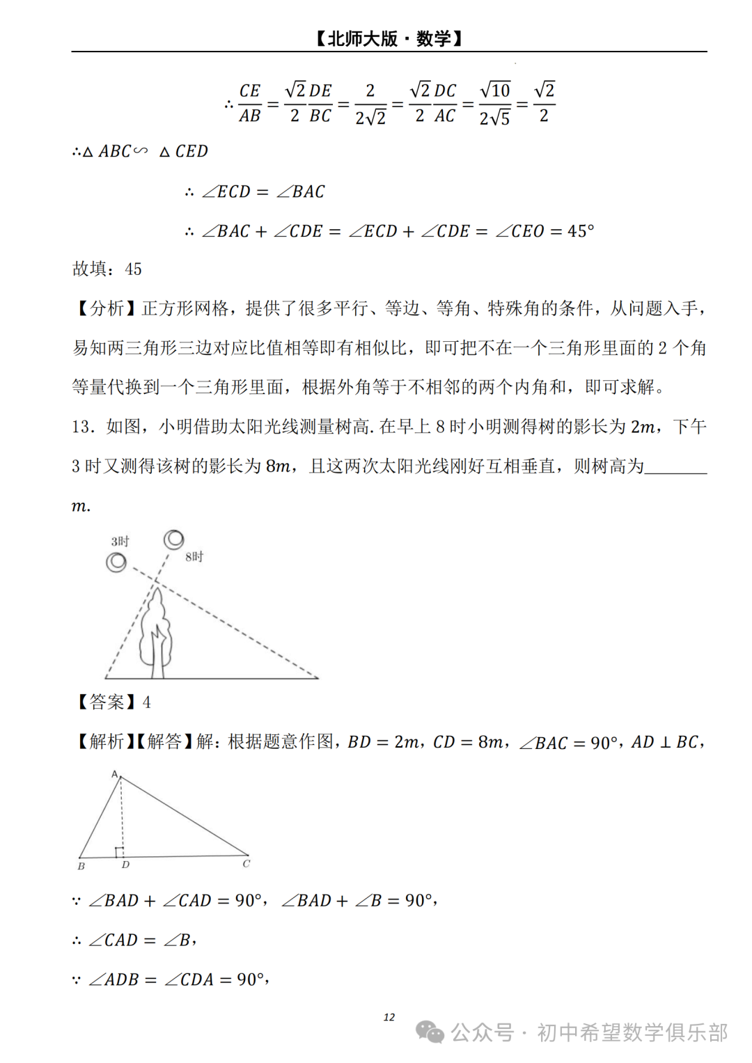 【2024年中考数学.北师大版】二轮复习---相似三角形的判定与性质 (解析) 第13张