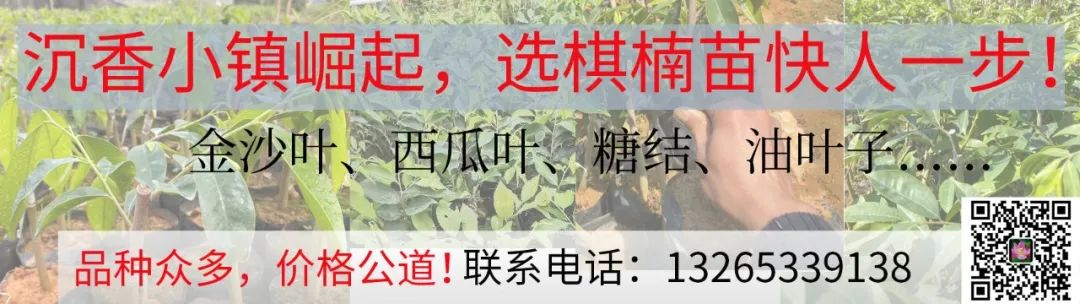 最新通知!事关2024年茂名中考报名 第2张