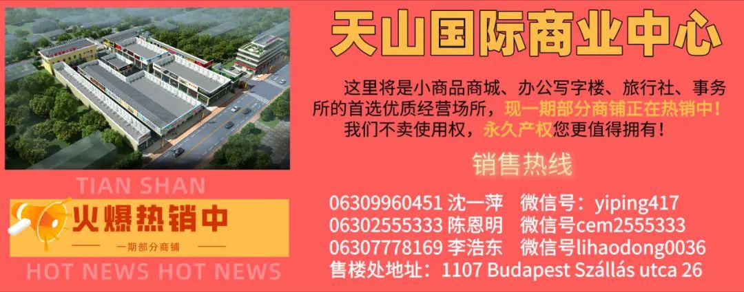 【罗兰大学丝路国学堂】5年级中考备考班、外语班、中文线上课、2024语言培训、春季课程安排 第23张