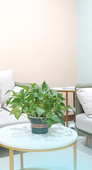 中考在即,孩子考前焦虑症休学,父母如何帮助孩子? 第6张